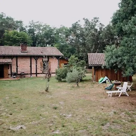 Maison Typique Landaise Moliets-et-Maa